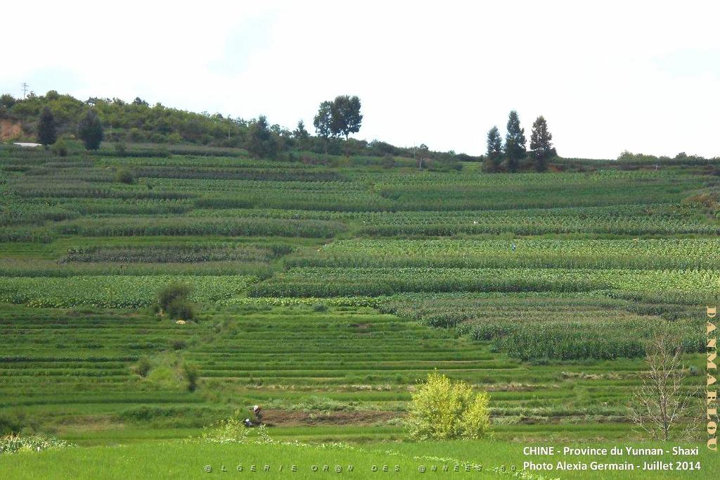 080 - Shaxi.JPG